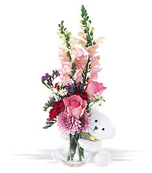 Teleflora's Bear Hug 