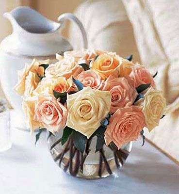 Perfect Pastel Roses