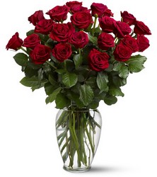 Two Dozen Red Roses 