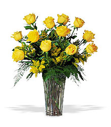 A Dozen Yellow Roses 